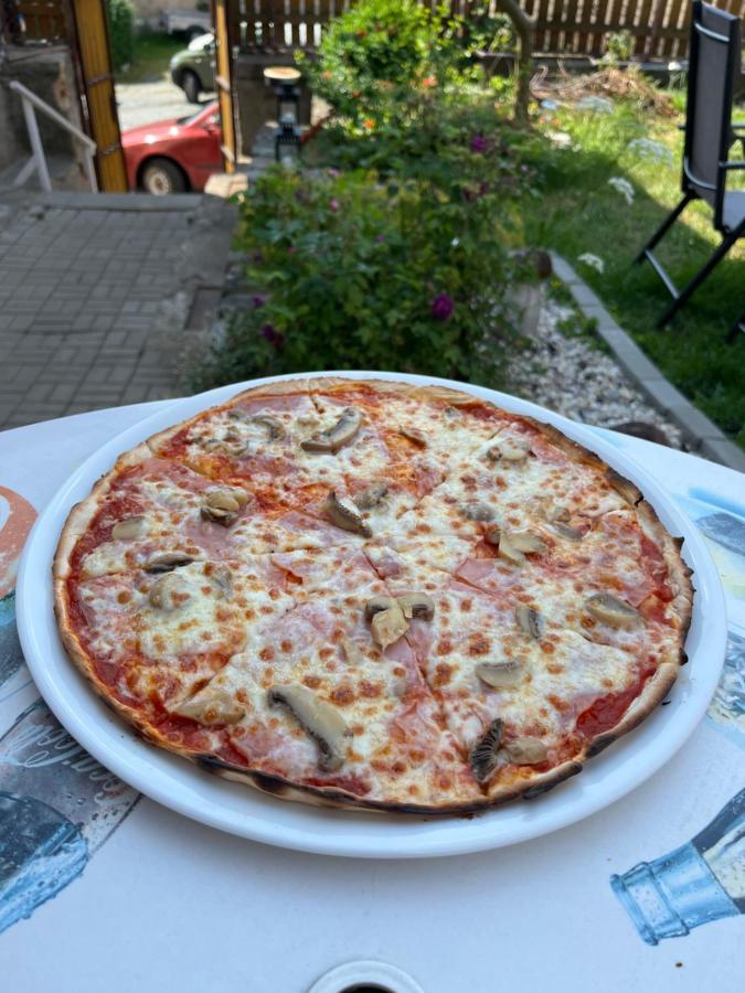 H@M Penzion Žlutice Dış mekan fotoğraf
